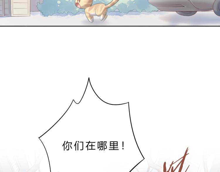猫爪之下韩漫全集-第69话 决定无删减无遮挡章节图片 