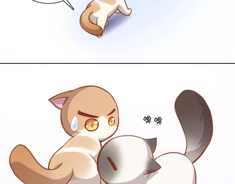 猫爪之下韩漫全集-第8话  还是家里好无删减无遮挡章节图片 