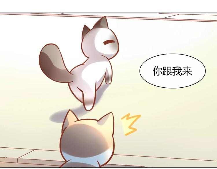 猫爪之下韩漫全集-第8话  还是家里好无删减无遮挡章节图片 