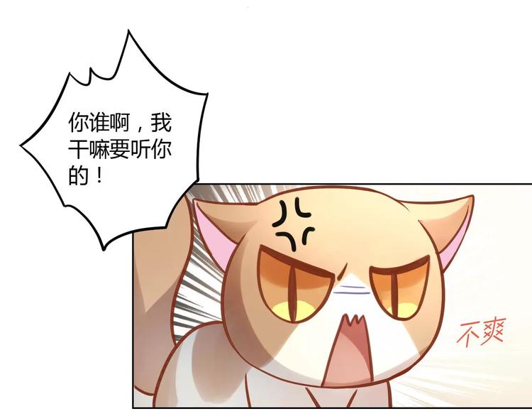 猫爪之下韩漫全集-第8话  还是家里好无删减无遮挡章节图片 