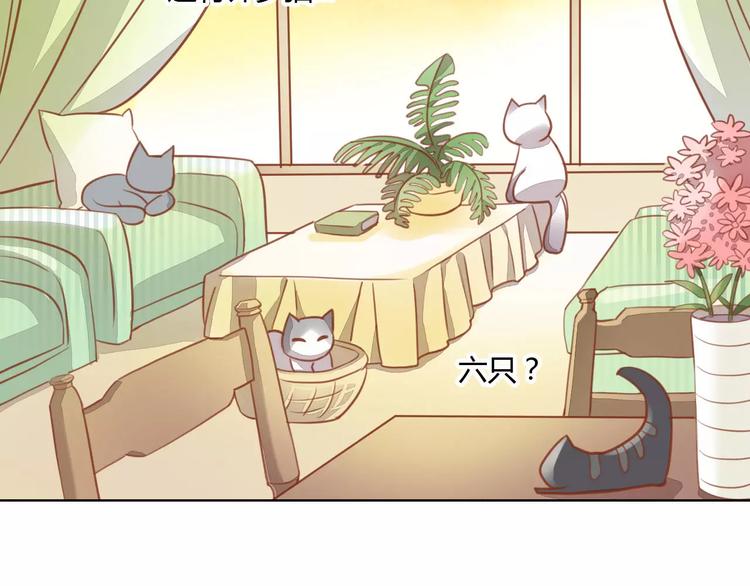 猫爪之下韩漫全集-第8话  还是家里好无删减无遮挡章节图片 