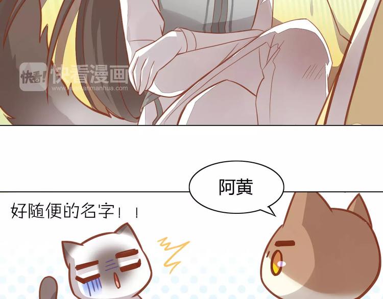 猫爪之下韩漫全集-第8话  还是家里好无删减无遮挡章节图片 