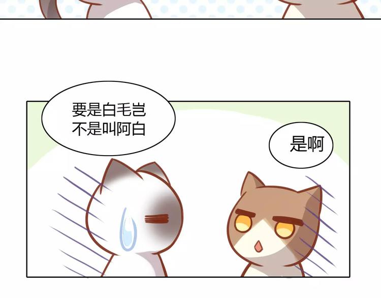 猫爪之下韩漫全集-第8话  还是家里好无删减无遮挡章节图片 