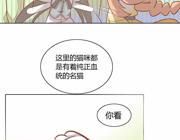 猫爪之下韩漫全集-第8话  还是家里好无删减无遮挡章节图片 