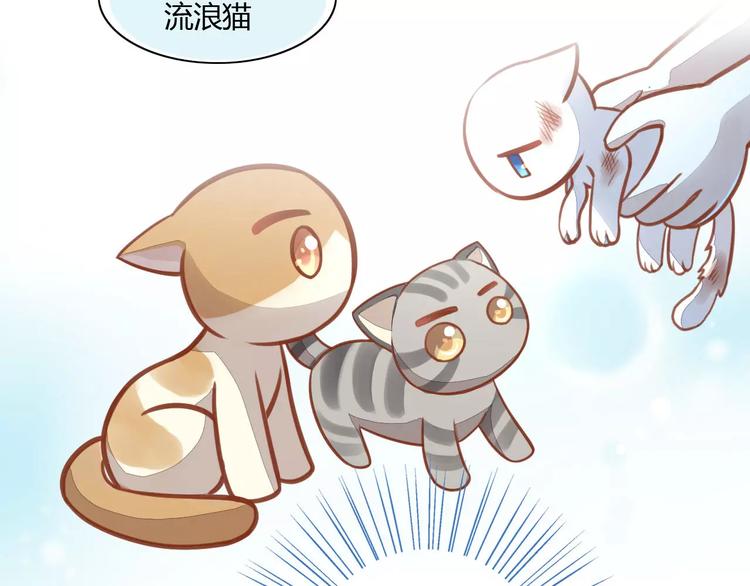 猫爪之下韩漫全集-第8话  还是家里好无删减无遮挡章节图片 