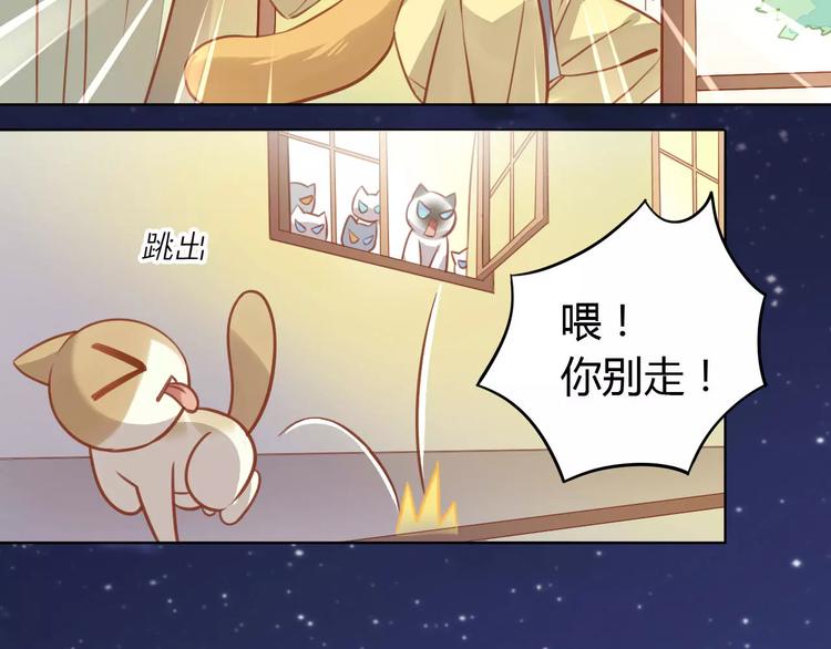 猫爪之下韩漫全集-第8话  还是家里好无删减无遮挡章节图片 