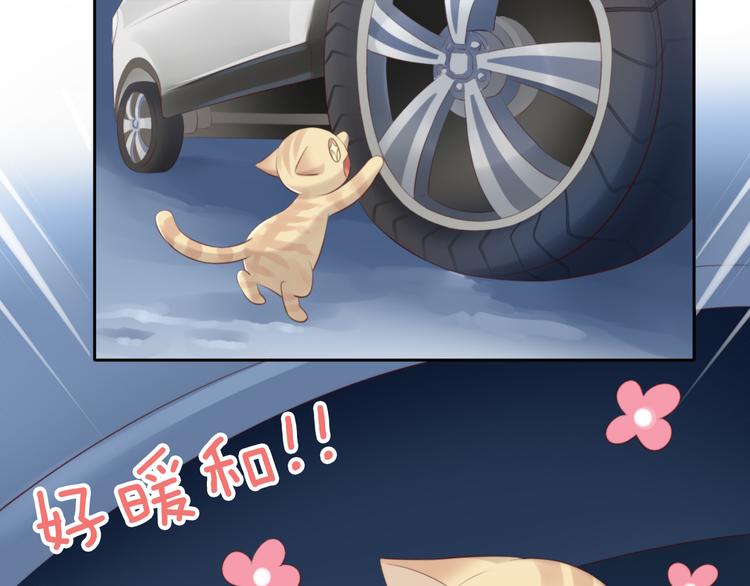 猫爪之下韩漫全集-第70话 再见无删减无遮挡章节图片 