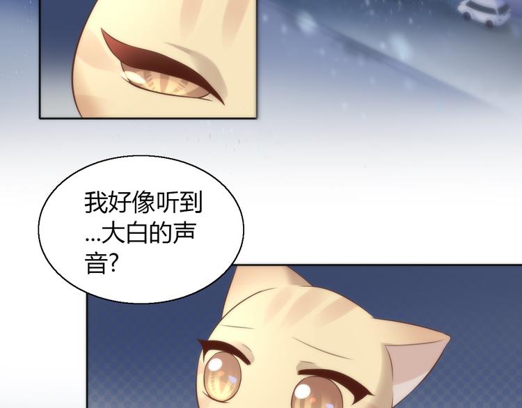 猫爪之下韩漫全集-第70话 再见无删减无遮挡章节图片 