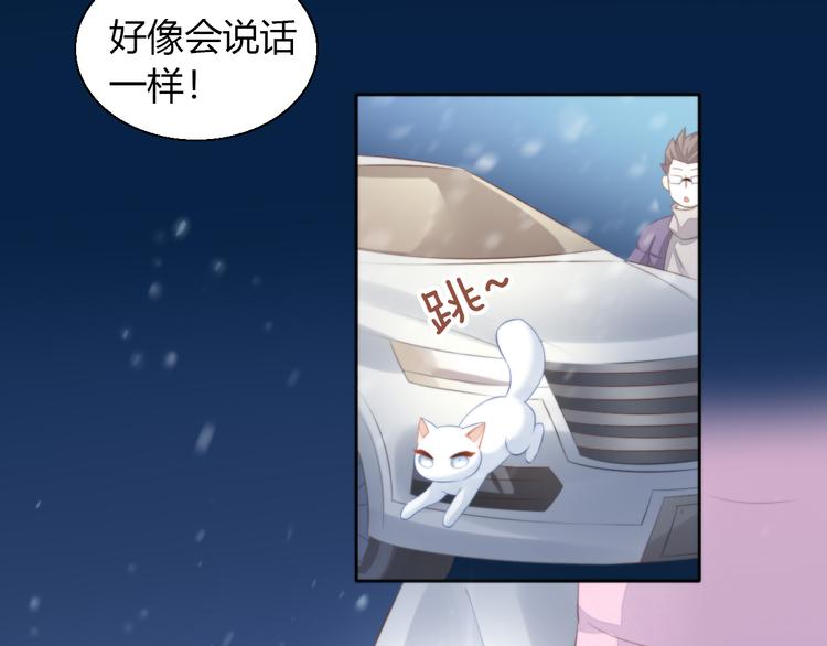 猫爪之下韩漫全集-第71话 属于你的幸福无删减无遮挡章节图片 