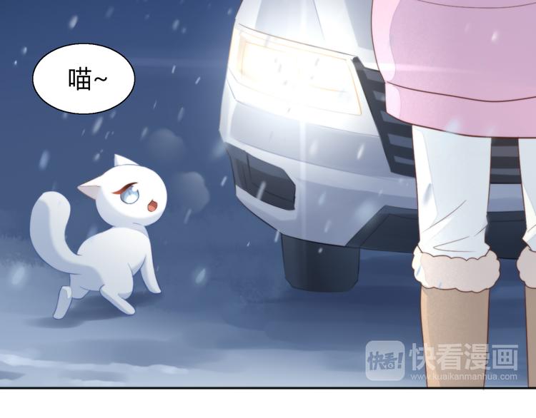 猫爪之下韩漫全集-第71话 属于你的幸福无删减无遮挡章节图片 