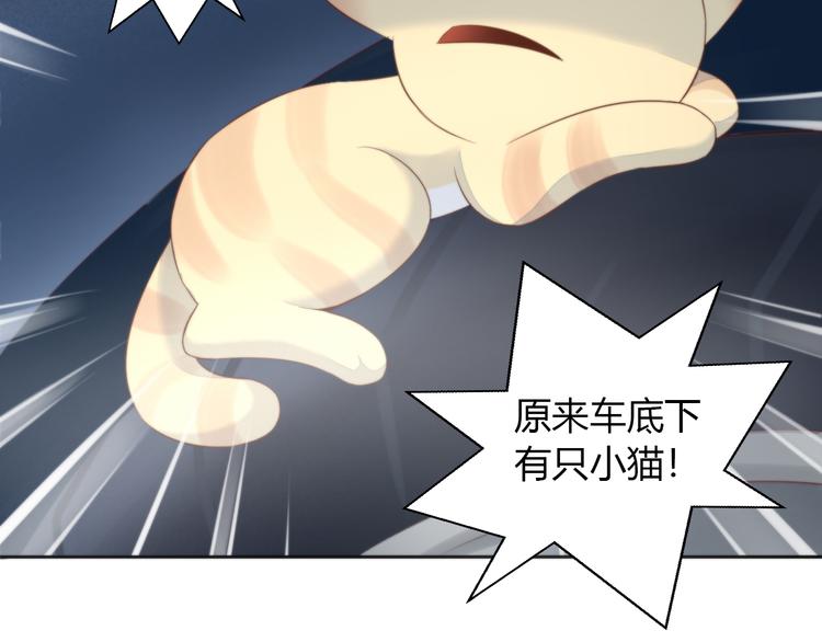 猫爪之下韩漫全集-第71话 属于你的幸福无删减无遮挡章节图片 