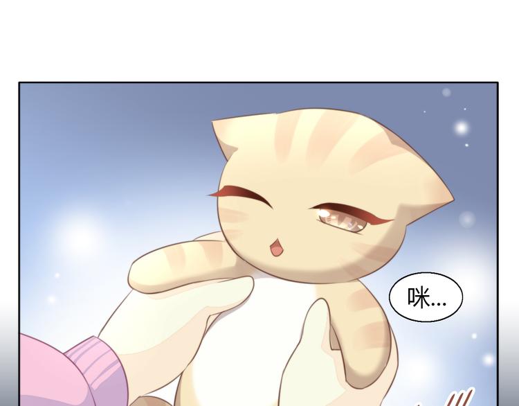猫爪之下韩漫全集-第71话 属于你的幸福无删减无遮挡章节图片 