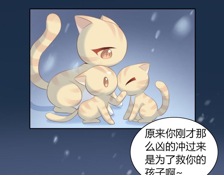 猫爪之下韩漫全集-第71话 属于你的幸福无删减无遮挡章节图片 