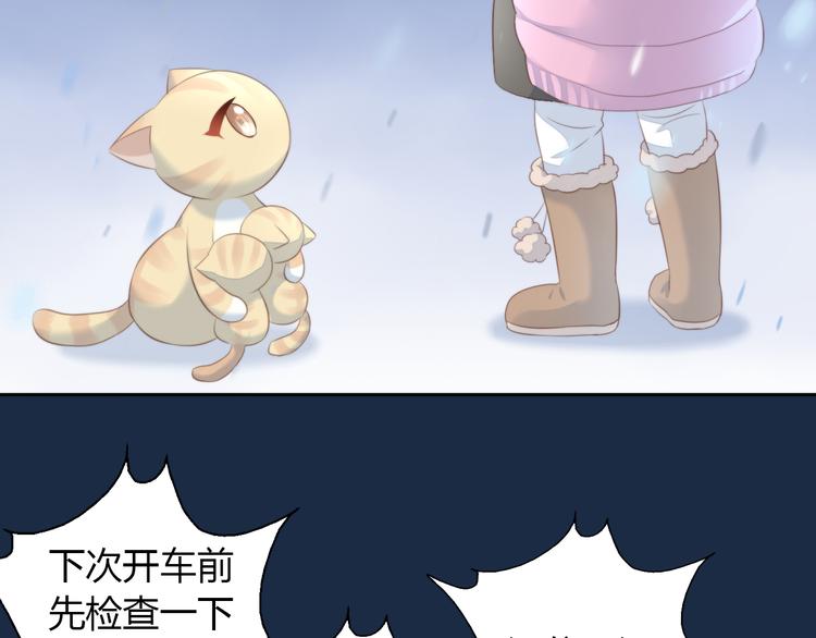 猫爪之下韩漫全集-第71话 属于你的幸福无删减无遮挡章节图片 
