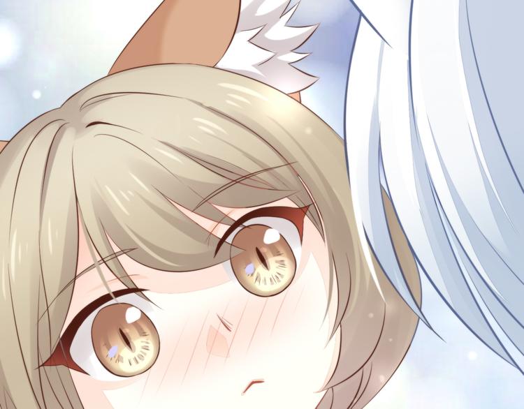 猫爪之下韩漫全集-第71话 属于你的幸福无删减无遮挡章节图片 