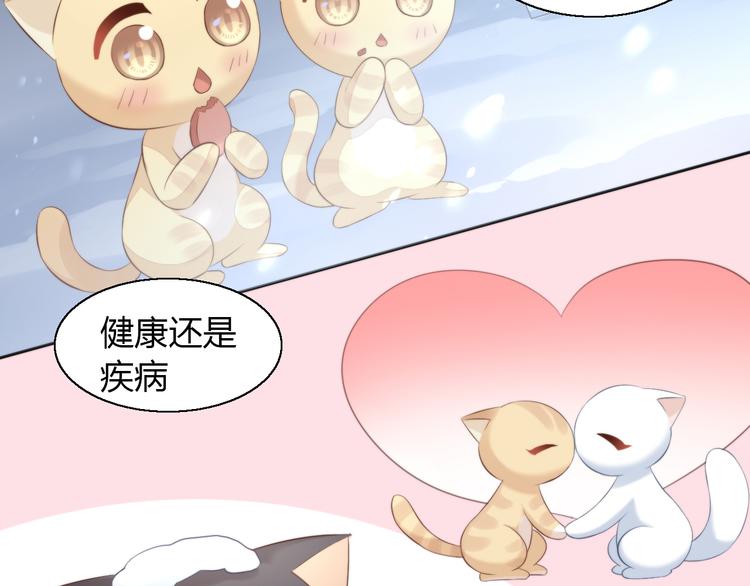 猫爪之下韩漫全集-第71话 属于你的幸福无删减无遮挡章节图片 