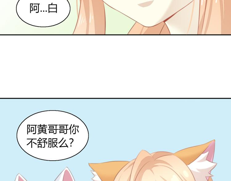 猫爪之下韩漫全集-第71话 属于你的幸福无删减无遮挡章节图片 