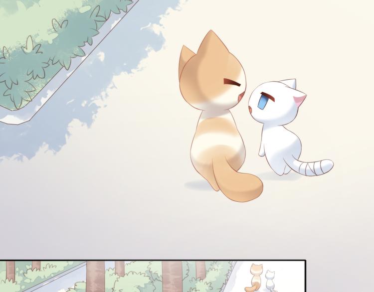 猫爪之下韩漫全集-第71话 属于你的幸福无删减无遮挡章节图片 