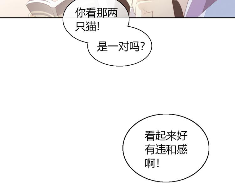 猫爪之下韩漫全集-第71话 属于你的幸福无删减无遮挡章节图片 