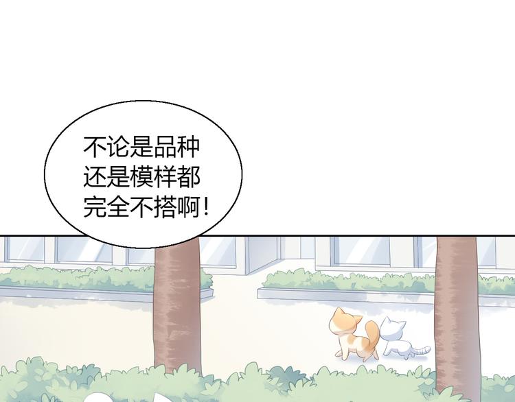 猫爪之下韩漫全集-第71话 属于你的幸福无删减无遮挡章节图片 