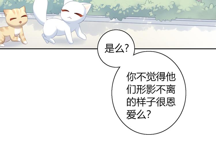 猫爪之下韩漫全集-第71话 属于你的幸福无删减无遮挡章节图片 