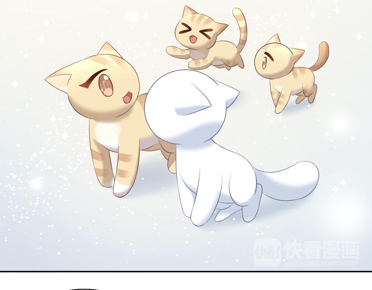 猫爪之下韩漫全集-第71话 属于你的幸福无删减无遮挡章节图片 