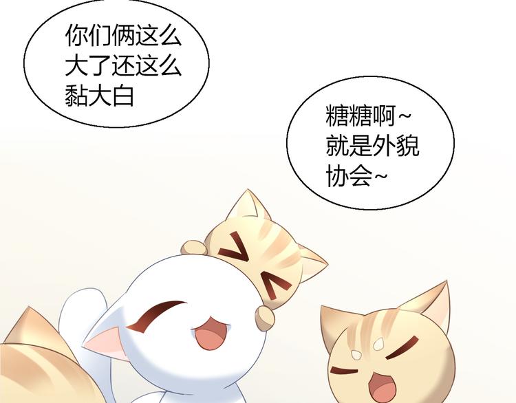 猫爪之下韩漫全集-第71话 属于你的幸福无删减无遮挡章节图片 