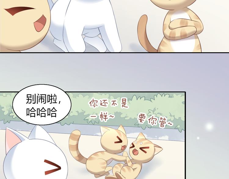 猫爪之下韩漫全集-第71话 属于你的幸福无删减无遮挡章节图片 