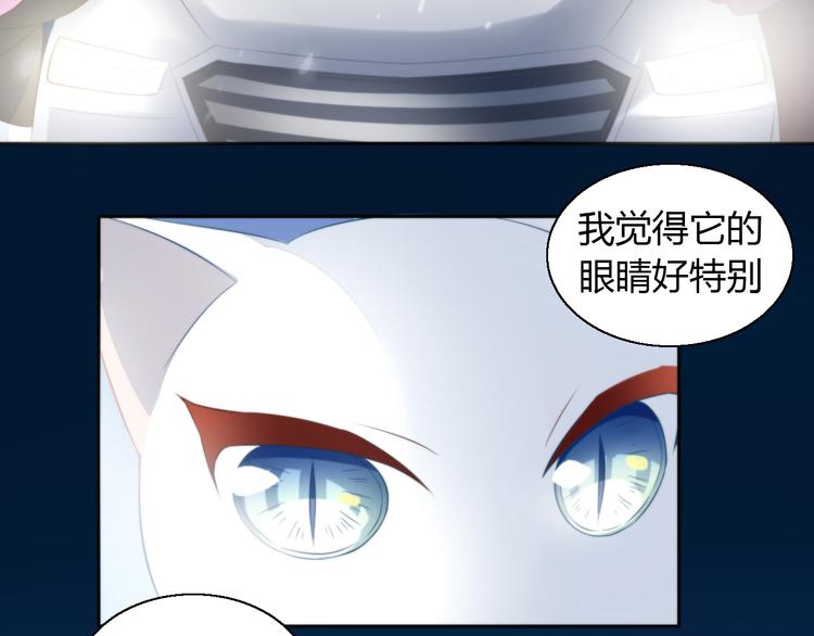 猫爪之下韩漫全集-第71话 属于你的幸福无删减无遮挡章节图片 