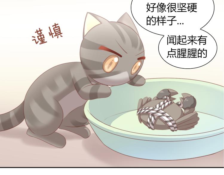 猫爪之下韩漫全集-第72话 螃蟹大战无删减无遮挡章节图片 