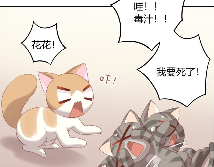 猫爪之下韩漫全集-第72话 螃蟹大战无删减无遮挡章节图片 