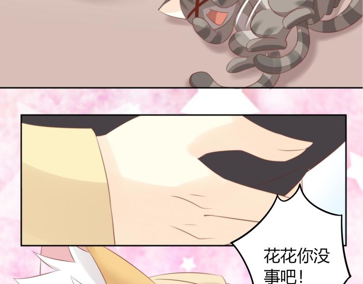 猫爪之下韩漫全集-第72话 螃蟹大战无删减无遮挡章节图片 
