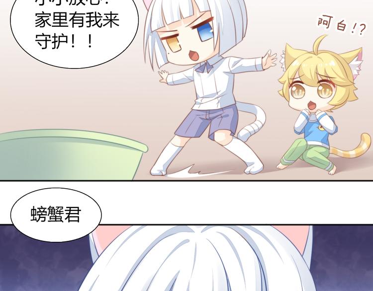 猫爪之下韩漫全集-第72话 螃蟹大战无删减无遮挡章节图片 