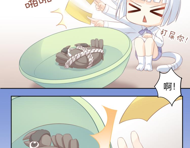 猫爪之下韩漫全集-第72话 螃蟹大战无删减无遮挡章节图片 