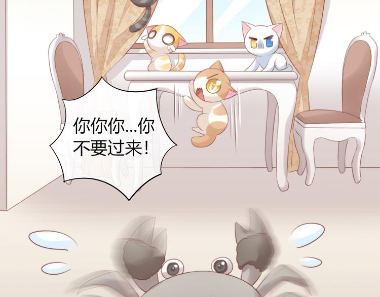 猫爪之下韩漫全集-第72话 螃蟹大战无删减无遮挡章节图片 