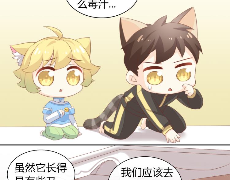 猫爪之下韩漫全集-第72话 螃蟹大战无删减无遮挡章节图片 