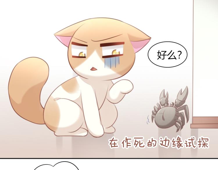 猫爪之下韩漫全集-第72话 螃蟹大战无删减无遮挡章节图片 