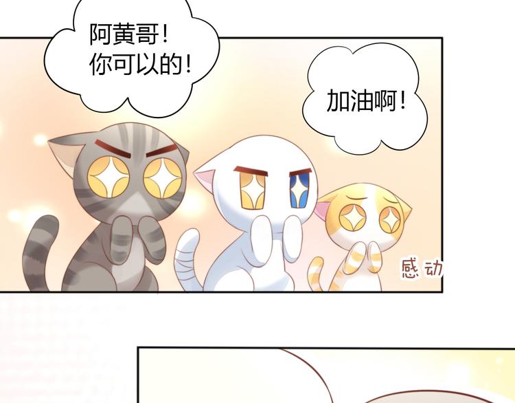 猫爪之下韩漫全集-第72话 螃蟹大战无删减无遮挡章节图片 
