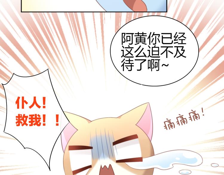猫爪之下韩漫全集-第72话 螃蟹大战无删减无遮挡章节图片 