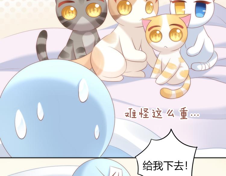 猫爪之下韩漫全集-第73话 爱之冬衣无删减无遮挡章节图片 