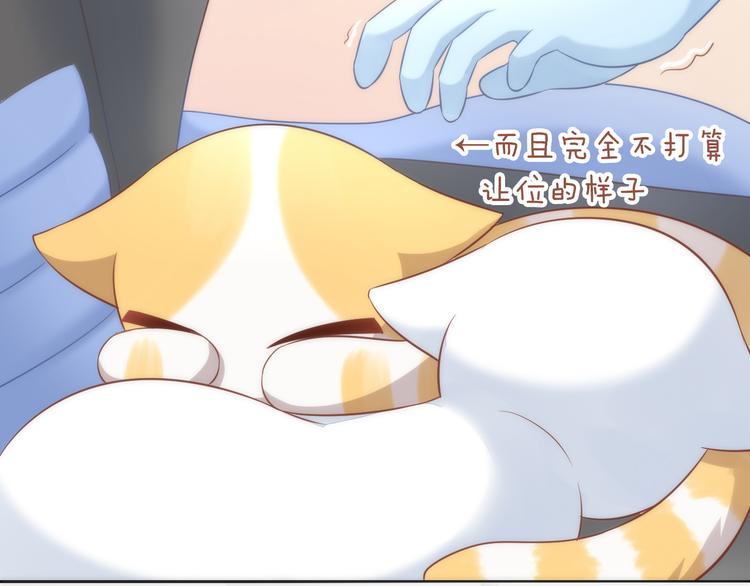 猫爪之下韩漫全集-第73话 爱之冬衣无删减无遮挡章节图片 