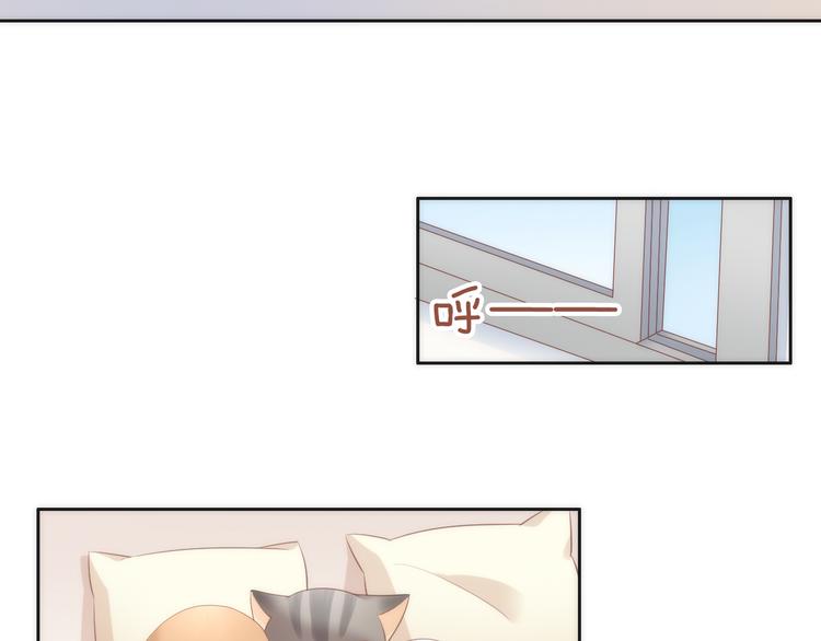 猫爪之下韩漫全集-第73话 爱之冬衣无删减无遮挡章节图片 