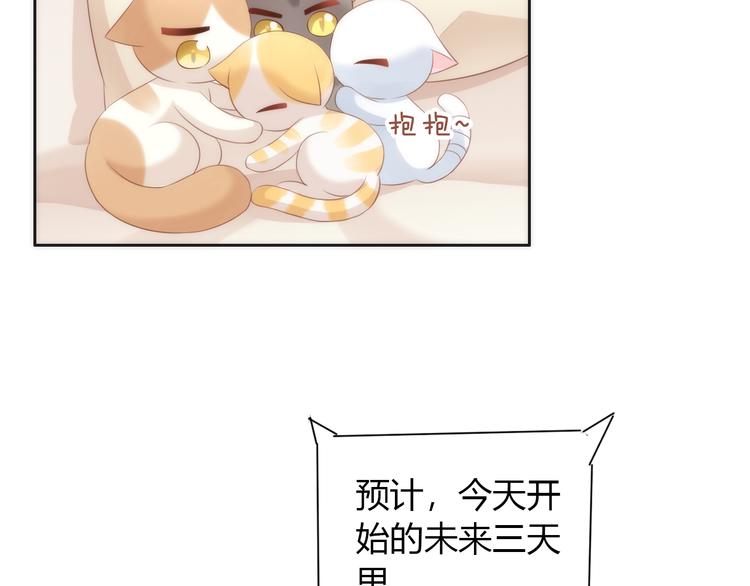 猫爪之下韩漫全集-第73话 爱之冬衣无删减无遮挡章节图片 