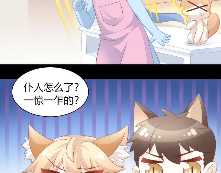 猫爪之下韩漫全集-第73话 爱之冬衣无删减无遮挡章节图片 