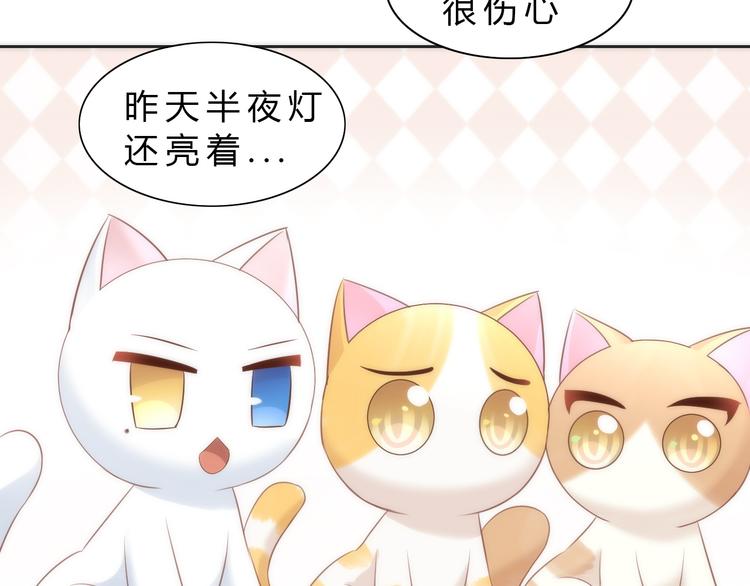 猫爪之下韩漫全集-第73话 爱之冬衣无删减无遮挡章节图片 