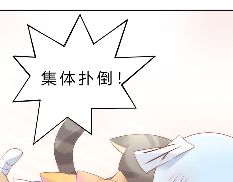 猫爪之下韩漫全集-第73话 爱之冬衣无删减无遮挡章节图片 