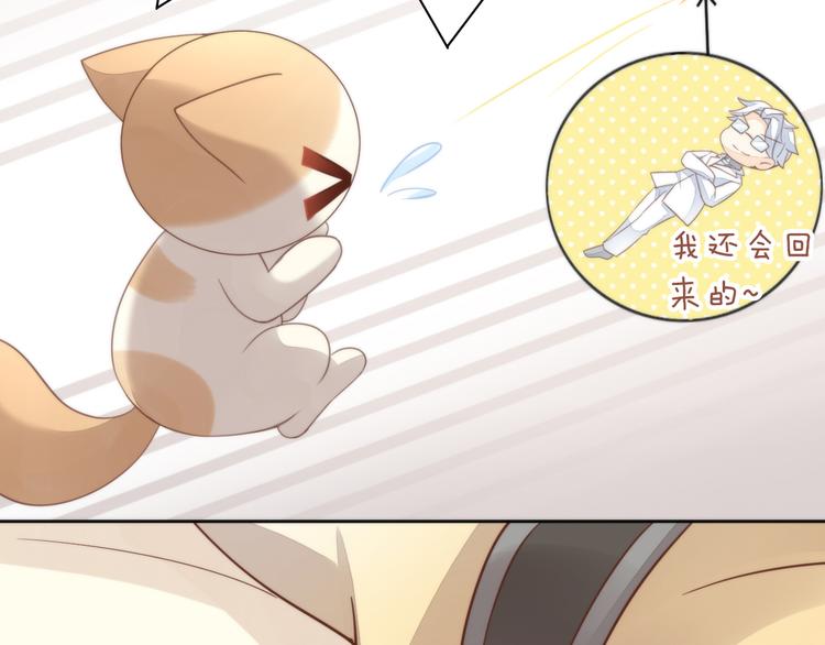 猫爪之下韩漫全集-第74话 宇宙中心呼唤爱无删减无遮挡章节图片 