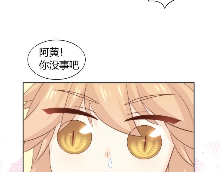 猫爪之下韩漫全集-第74话 宇宙中心呼唤爱无删减无遮挡章节图片 