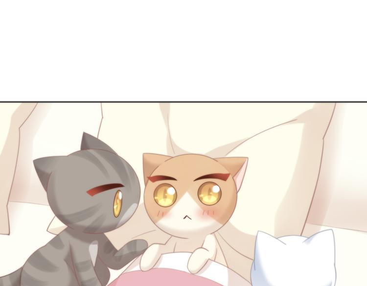 猫爪之下韩漫全集-第74话 宇宙中心呼唤爱无删减无遮挡章节图片 