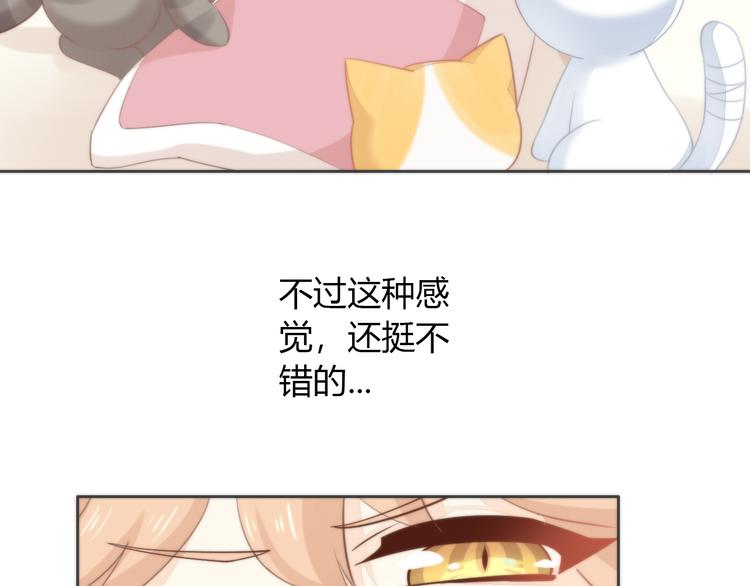 猫爪之下韩漫全集-第74话 宇宙中心呼唤爱无删减无遮挡章节图片 